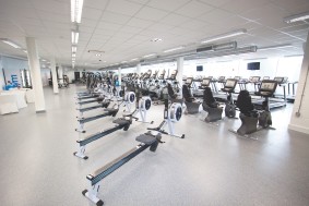 * The Gym.jpg